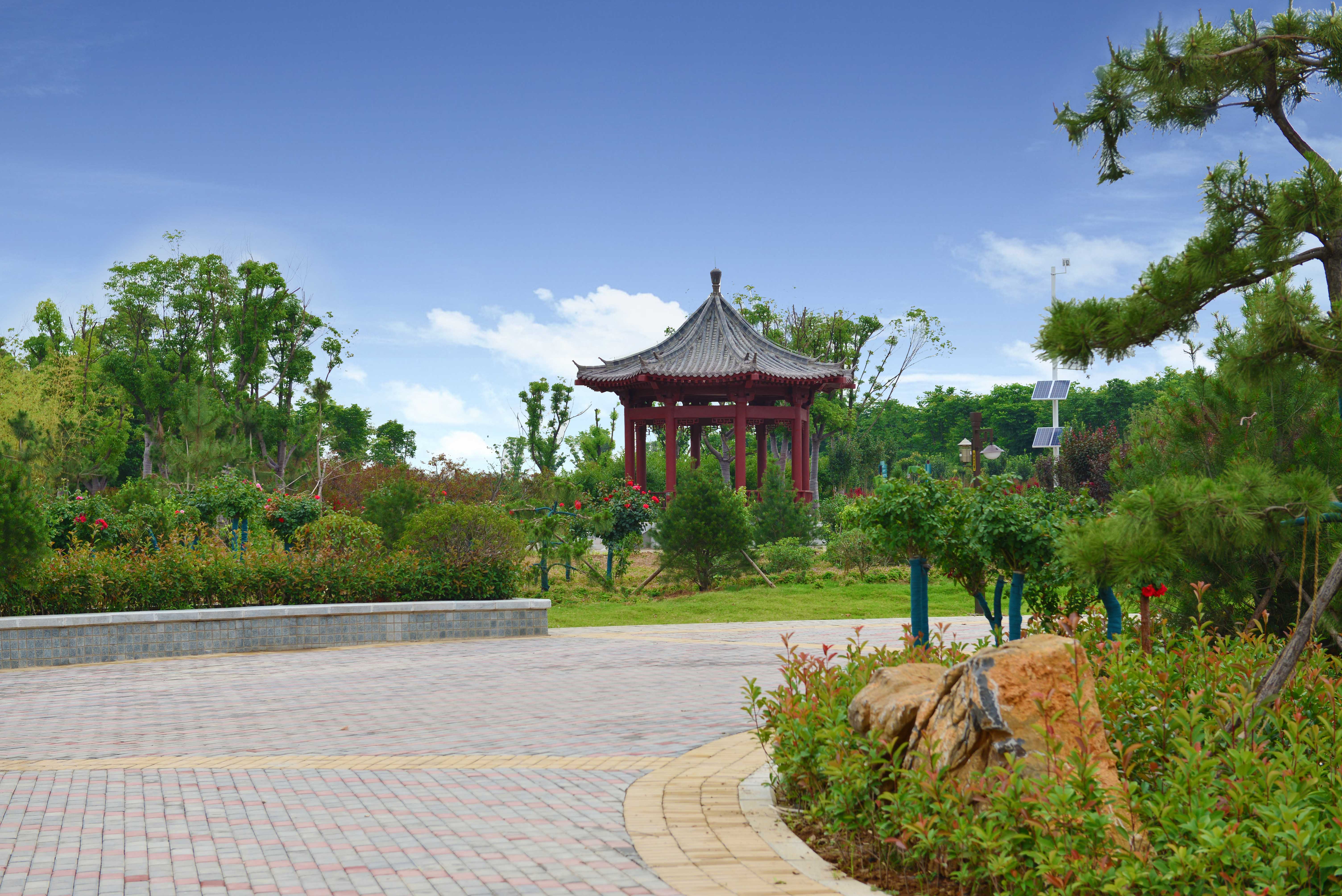 1610523362787226.jpg 4.jpg